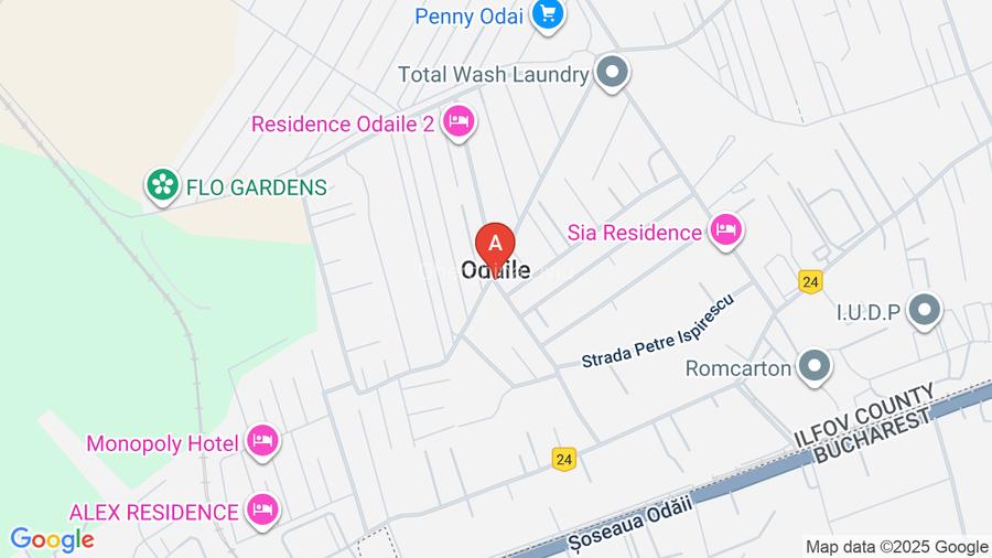 Dezvoltator - Apartament 2 camere - 3