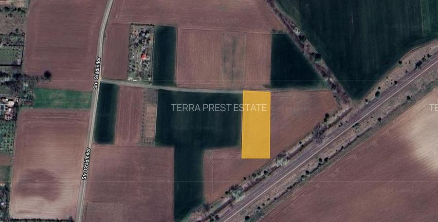 Super oferta! 1500 mp intravilan Caciulati, acces rapid A3 - 3