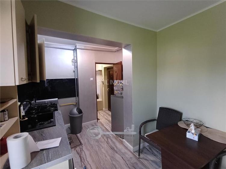 Apartament 1 cameră decomandat, 50 mp, vedere bulevard – Gara, ideal invest - 10