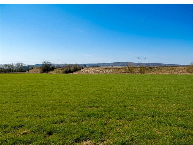 Teren 12.400 MP | 180 ml deschidere E85 | Pătrăuți | 70.000€ - 5