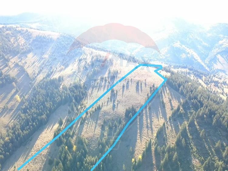 Teren 47,732mp Panaci / Strada MIhailet - 4