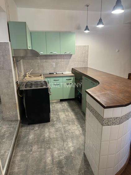 Casa individuala, 4 camere, curte proprie, 2 locuri de parcare Herastrau Domenii - 8