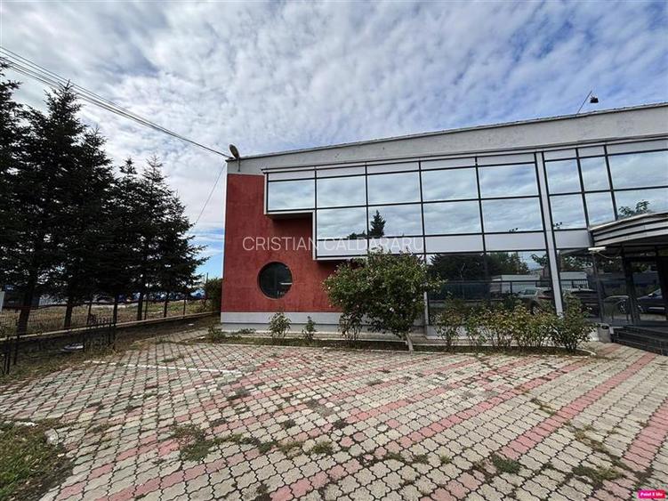 Vanzare depozit/hala/spatiu industrial Magurele - Atomistilor - 4