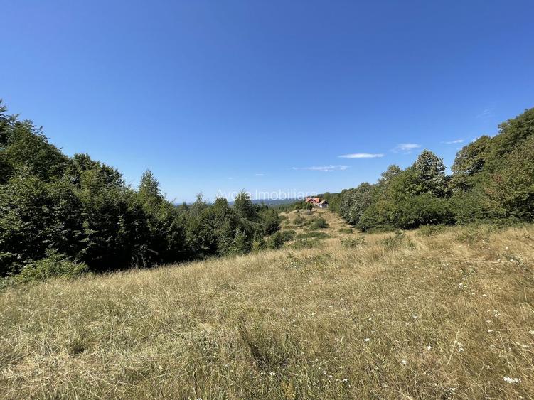 Teren Extravilan în mijlocul naturii. - 15