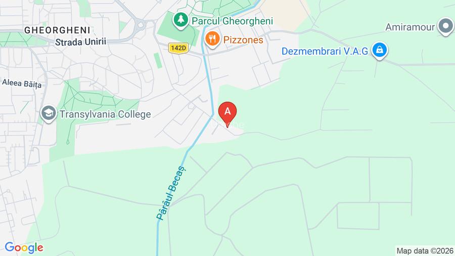 Vind teren intravilan 1550 mp si imobil  32 mp str Al. Vaida Voievod.  - 15