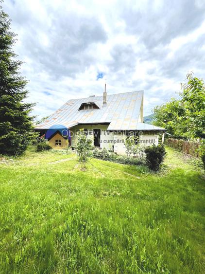 CASA  comuna ALEXANDRU cel BUN - VIISOARA - 2