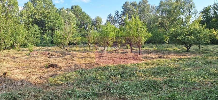 Vila de vanzare cu 6 camere si teren de 5116 mp in Cornu, Prahova - 35