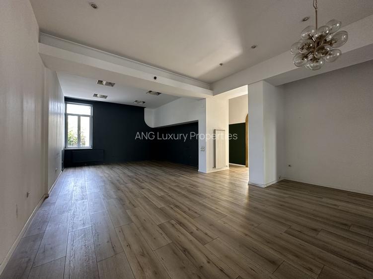 Vila Impozanta Langa Parcul Gradina Icoanei - 8