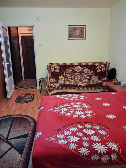 Garsoniera de vânzare in Brazda la G-uri/parter - 2