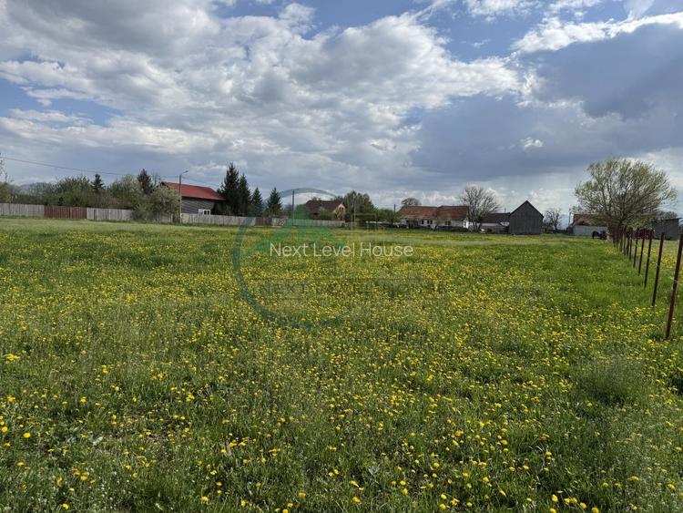 Teren Sat Bacel 6200 mp - 7