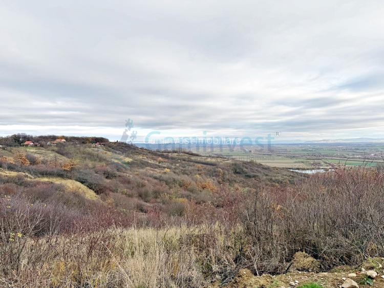 Parcela de teren extravilan, langa padure, zona Gheorghe Doja, Oradea - 3