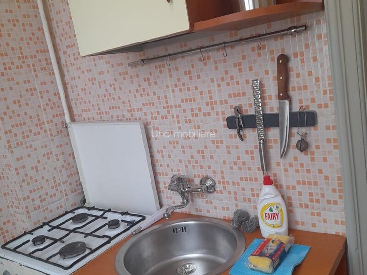 DOROBANTI ,IANCU DE HUNEDOARA GARSONIERA  PET FRIENDLY INCHIRIERE - 4