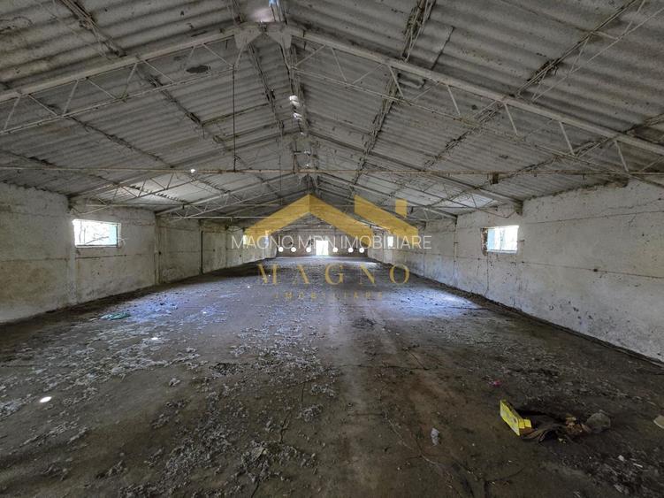 Hale industriale de vânzare – Arad, zona Exterior Vest / Calea Bodrog - 6