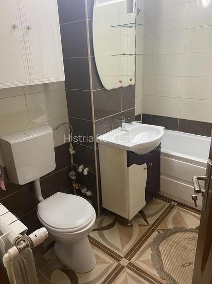 TOMIS NORD 2 CAMERE 450 EURO TERMEN LUNG - 9