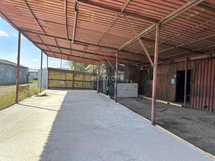 Spațiu industrial hale depozitare si productie - 5