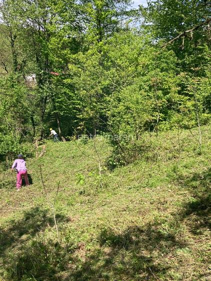DOMENIU EXCLUSIVIST Băile Govora: 2500 mp cu Helesteu, Pârâu, Pădure, Utilități - 2