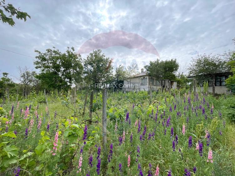 Casă și Teren Generos la Granița cu Republica Moldova! - 6