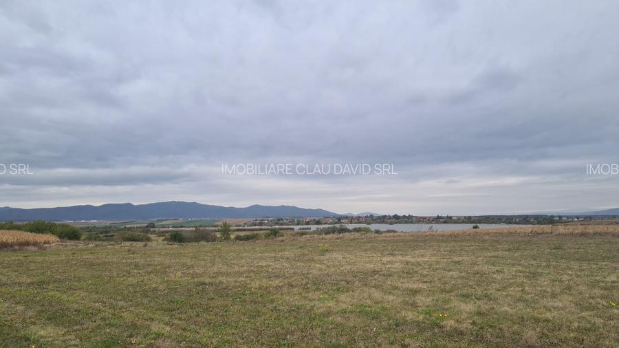 Oază de Natură și Potențial: Teren de 48.100 mp lângă Delta din Carpați - 14