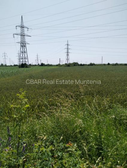 Teren de vanzare 7.360 mp  Oarja, Pasarela A1 Pret  25 760 euro 3,5 €/mp! - 2