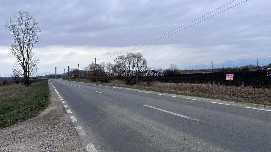 Teren 50000mp Extravilan-Intrare Halchiu-Cod 5235 - 8