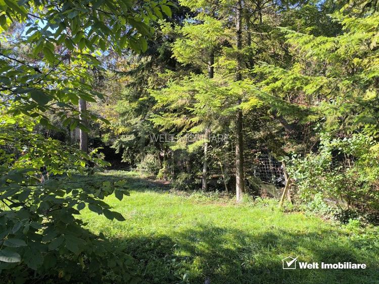 Casa veche, 3 camere, 978 m.p. teren, Grigorescu, locatie de vis  - 13