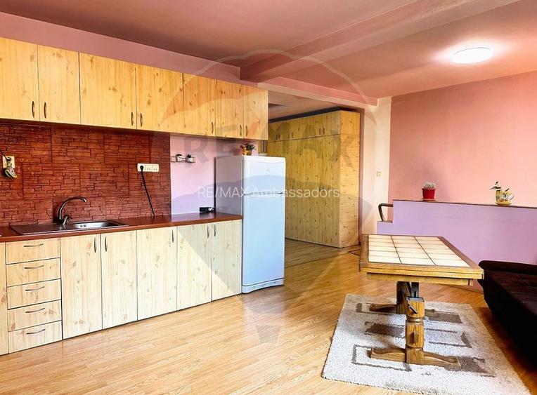 Casă / Vilă cu 5 camere de vânzare în zona Cetatii - 11