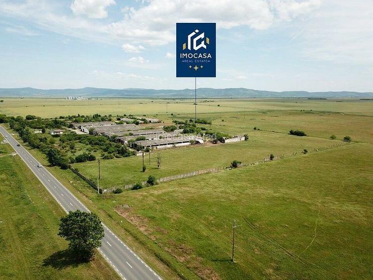 Hale depozitare, grajd, Curte betonata, Horia Jud. Arad - 3