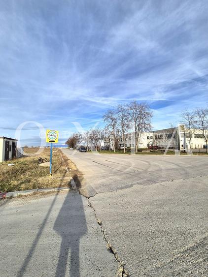 AX1027 Teren Intravilan, Zona Industriala Monlandys, Calea Sagului - 5