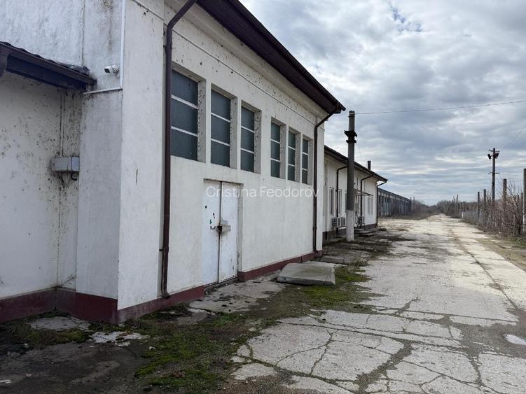 🔥 De vânzare teren - oportunitate rară de investiție – deschidere la Dunăre! 🔥 - 4