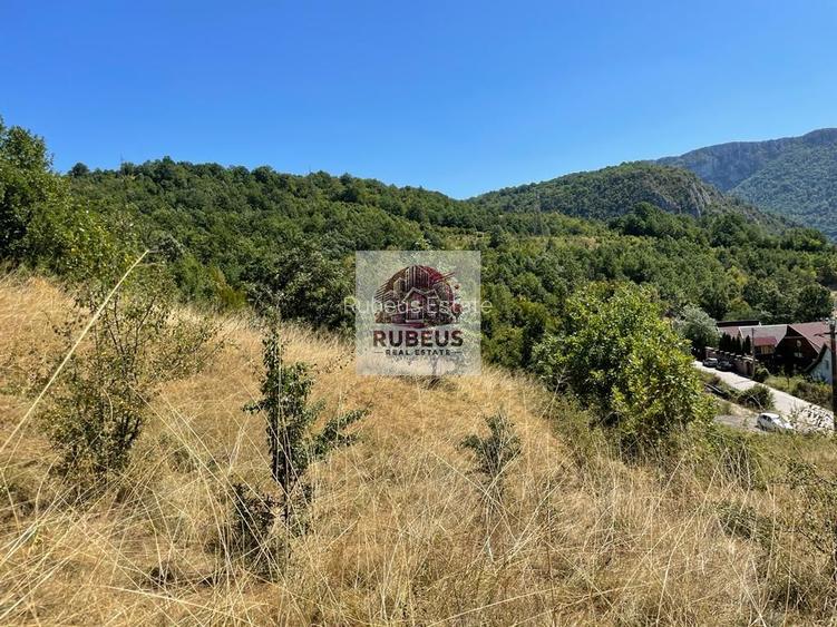 Teren intravilan 2.580 mp Eșelnița, acces DN57, ideal turism, locuinte - 12