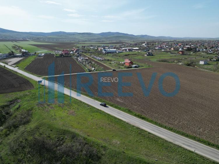 Teren de vânzare, Com. Nicolae Bălcescu, Jud. Bacău - 5