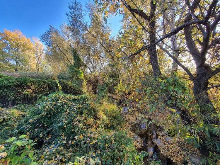 Teren de vânzare “Dumbrava Minunata” în Domnesti, Ilfov - 9