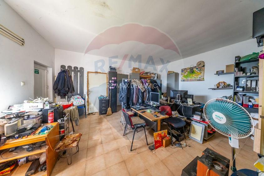 Spațiu industrial cu potential de vanzare in Paulis,Arad - 14