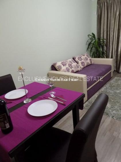 Inchiriere 2 camere Piata Victoriei - 10