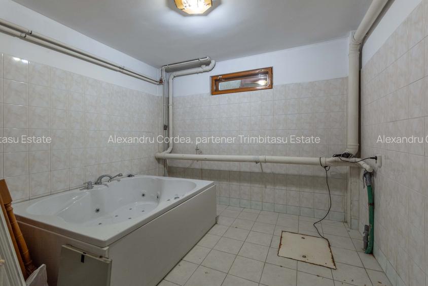 Aviatiei | Smaranda Braescu | Vila reprezentativa de inchiriat - 17