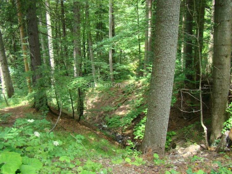 Proprietar vand teren in Predeal langa Complex Belvedere-Verona- Eden-comision 0 - 7