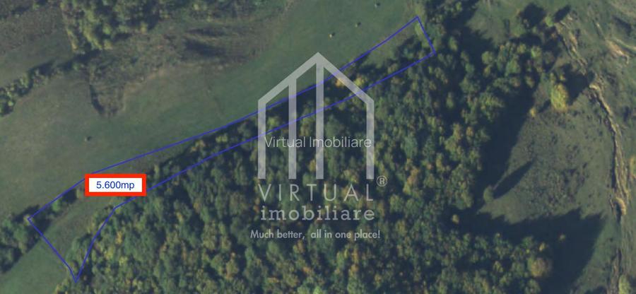 Teren extravilan de vanzare 15,600 mp zona loc... Hamba - 6