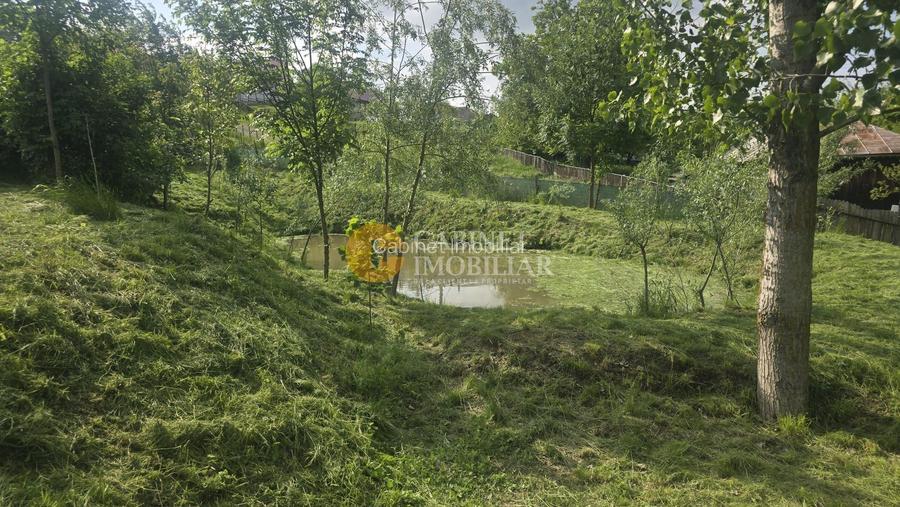 Oază de liniște și natură! Casă  cu 2 heleșteie și pârâu în curte – Probota - 3
