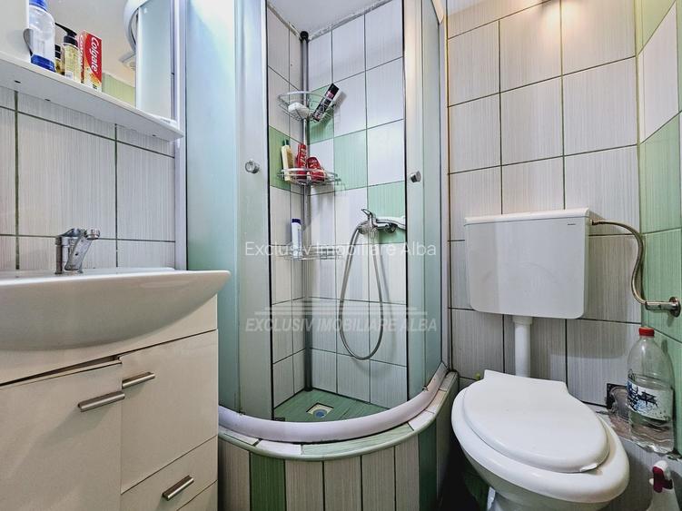 Casa individuala | 180mp | Mobilata | Toate utilitatile | Alba-Micesti - 10