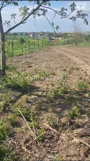 Teren de vanzare Comuna Comana-Giurgiu - 9