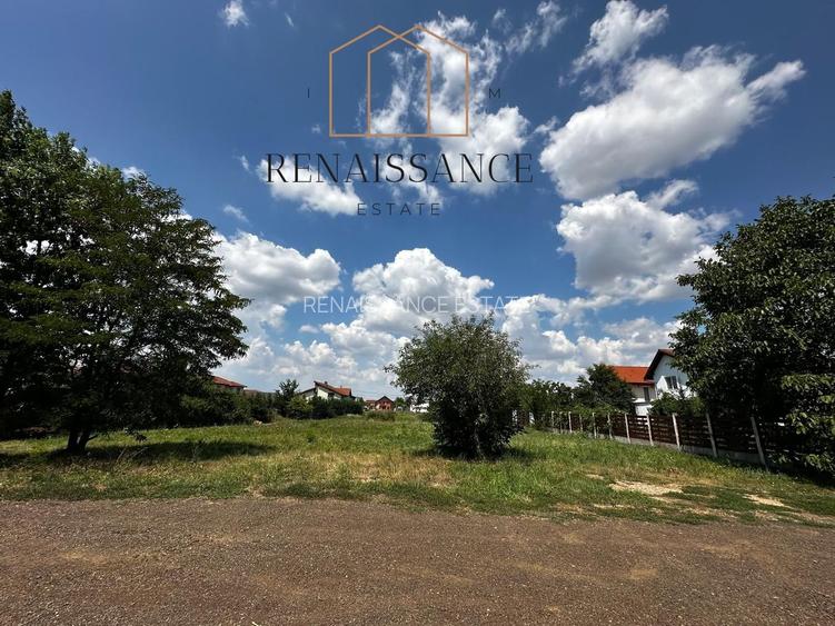 Dumbravita Teren Intravilan 1466mp Front 29m | Langa Padure - 16