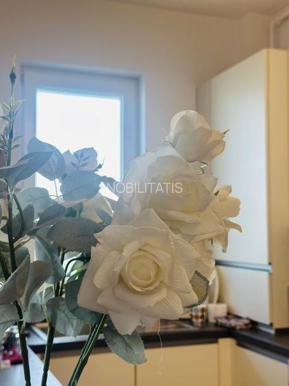 #Penthouse | Timisoara | #devanzare | - 4