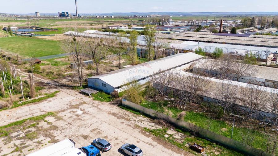 Teren Industrial 3Ha și Hală 1000mp de Vânzare în Tomesti - IAȘI - 9
