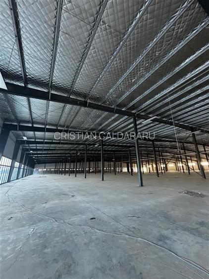 Inchiriere depozit/hala/spatiu industrial/showroom Afumati - DN2 - Dorally, Ilfo - 10