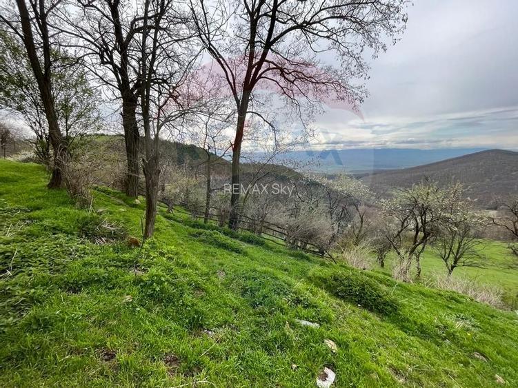 Teren 48,428mp Laz (Vintu de Jos) / Strada PRINCIPALA - 2