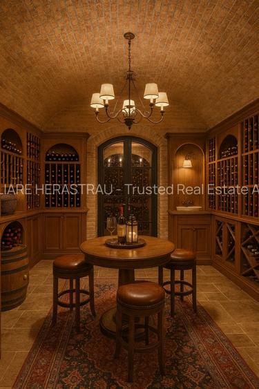 Dorobanti  Capitale - 3