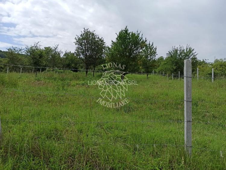 Teren 1000mp+cota drum-ideal cabana/investitie-panorama-Valea Rusului - 2