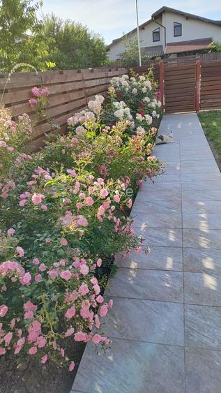 CASA TIP DUPLEX CU 5 CAMERE IN SANPETRU - 17