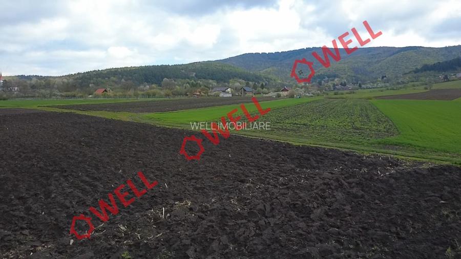 Teren intravilan de vânzare în Bicfalău! - 6