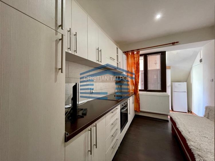 Garsoniera mobilata/utilată -pet friendly - centru istoric- studenti - 8